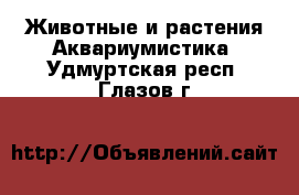 Животные и растения Аквариумистика. Удмуртская респ.,Глазов г.